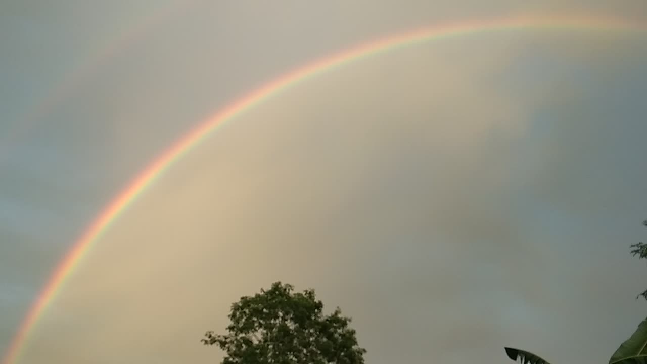 Rainbow 🌈