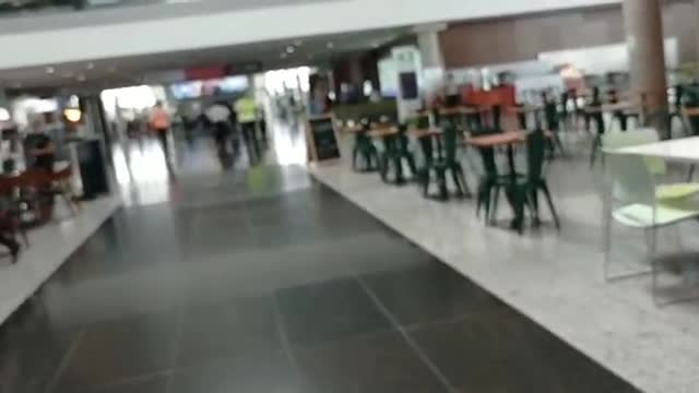 ÍNDIOS EM BRASÍLIA 4