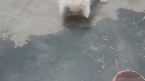 funny 3