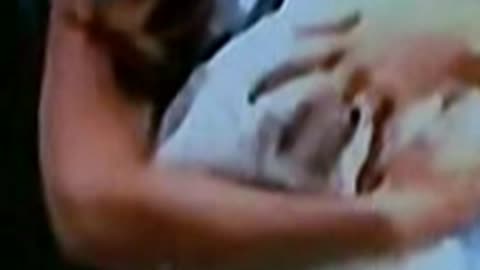24. MIDDLETON REPTOID FINGER