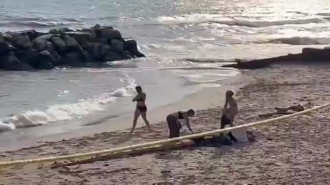 Libtards - screaming at Lake Michigan to rage against the election: