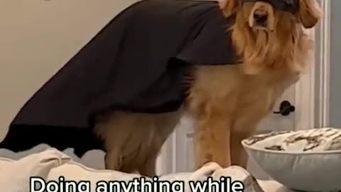 Part -2 Funny Animal Video 😀