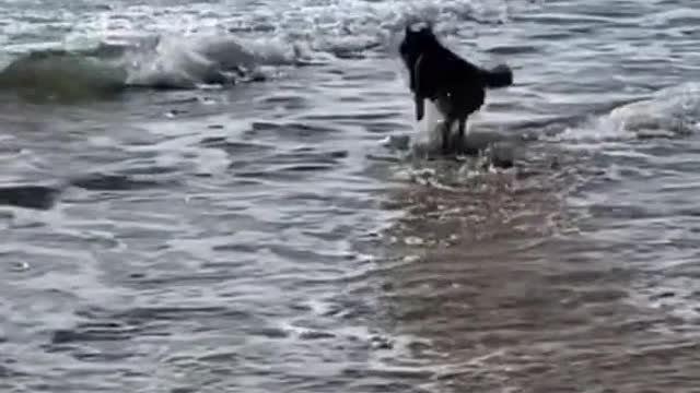 It was so hot that I had to go down to the river for a wash