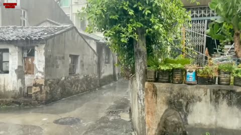 Strongest Typhoon Hits China 2024, Devastating Cities in China