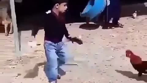 Prairie cock flirts with the child, see what happens