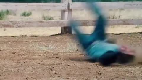 Funny Bull Fight Scene | Hollywood movie