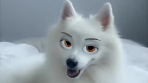THE FACE OF BEAUTY