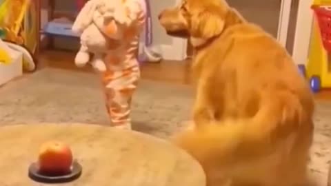 Did you laugh? I did laugh
