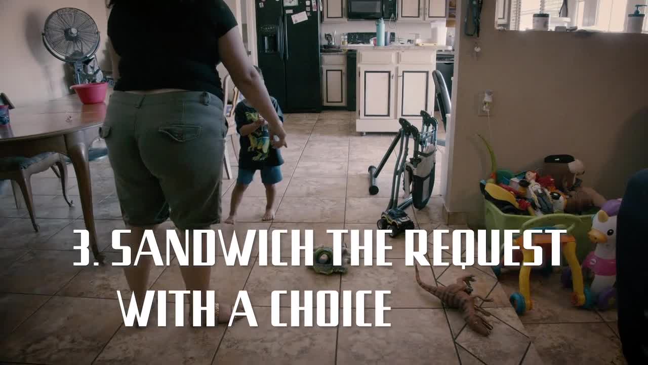 0392 - Strong-Willed Children (78421SC) - RECAP