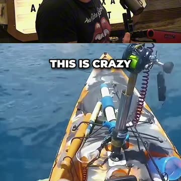 Tiger Shark Jumps OUT OF THE WATER To ATTACK a Fisherman