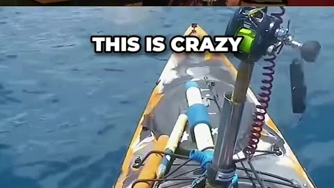 Tiger Shark Jumps OUT OF THE WATER To ATTACK a Fisherman