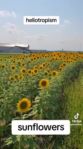 What is going on with our crops and flowers this year?