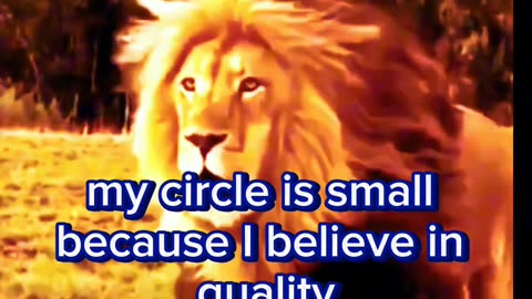 My Circle