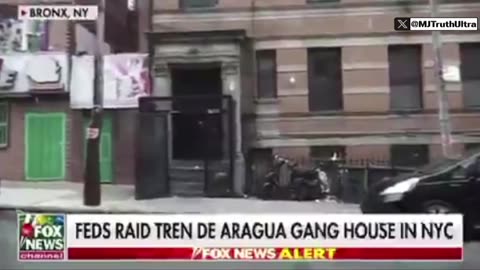 Feds Crack Down On Illegal Immigrant Gangs In NYC
