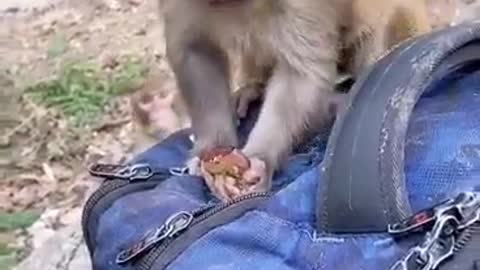 Grab a bite