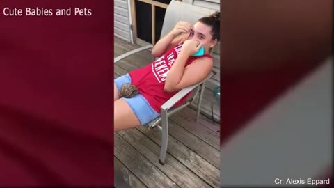 Funny Animals Chasing and Scaring People