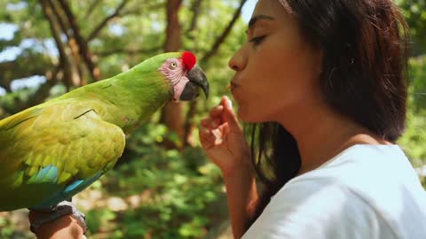 Cute Parrot #rumble #rumble Shorts #Shorts