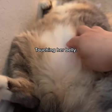 How to awaken the beast