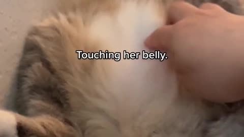 How to awaken the beast