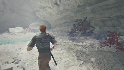 SW-JS-EP 3 The one armed man