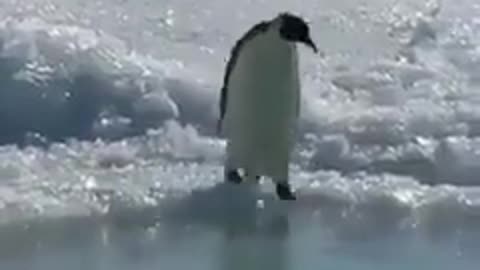 This is how you cool down during a heatwave