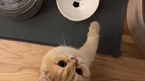Waiting for the food