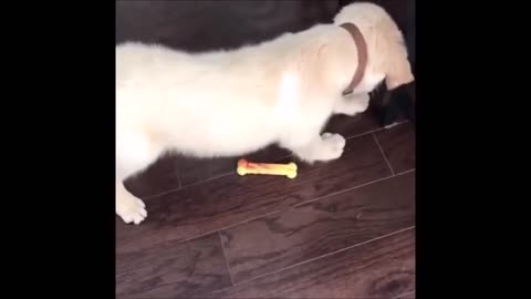 Episode 10 - Cannot stop laughing