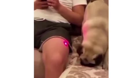 Funny 🤣