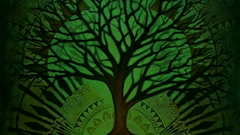 Shamanic Psychedelic Journey Vol XI - Pagan Folk Viking Celtic Audio Visual Art 3