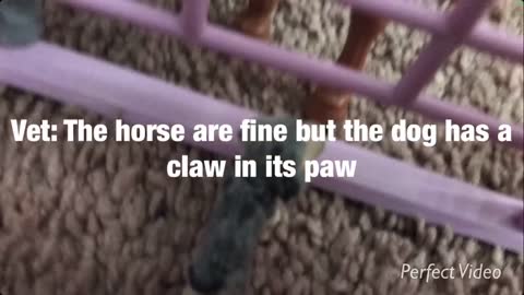 The ranch 18