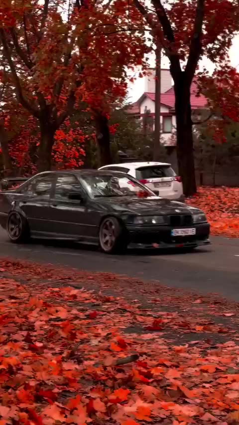 Bright autumn and BMW e36