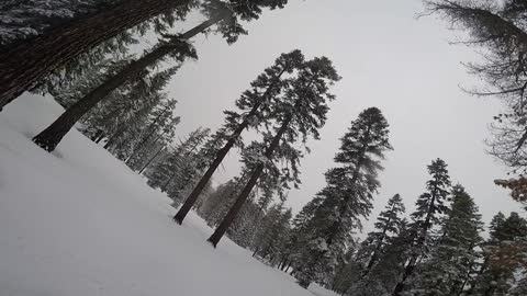 Coolchew's Alpine Blood Feud