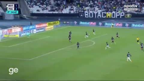 BOTAFOGO 1 X 3 PALMEIRAS | MELHORES MOMENTOS | 29ª RODADA BRASILEIRÃO 2022 | ge.globo