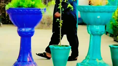 Sajid M Jutt