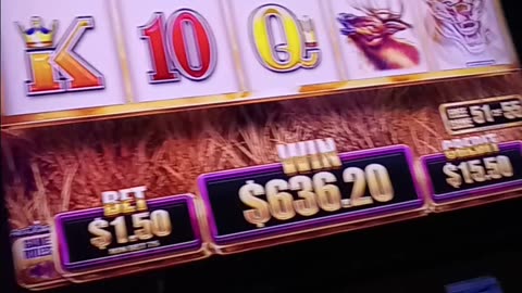 Neat little win
