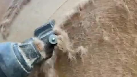 Satisfying Clipping of Thick Horse Coat
