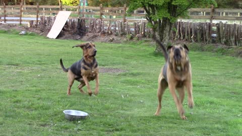 Max caught by surprise! 😆