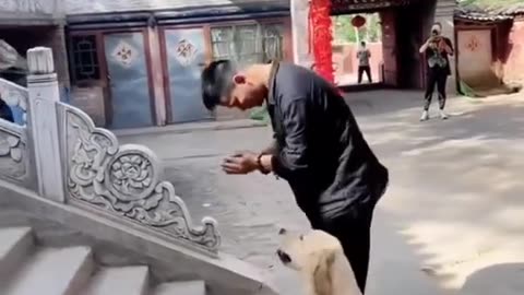 Dog's heàrt ❤️❤️❤️❤️