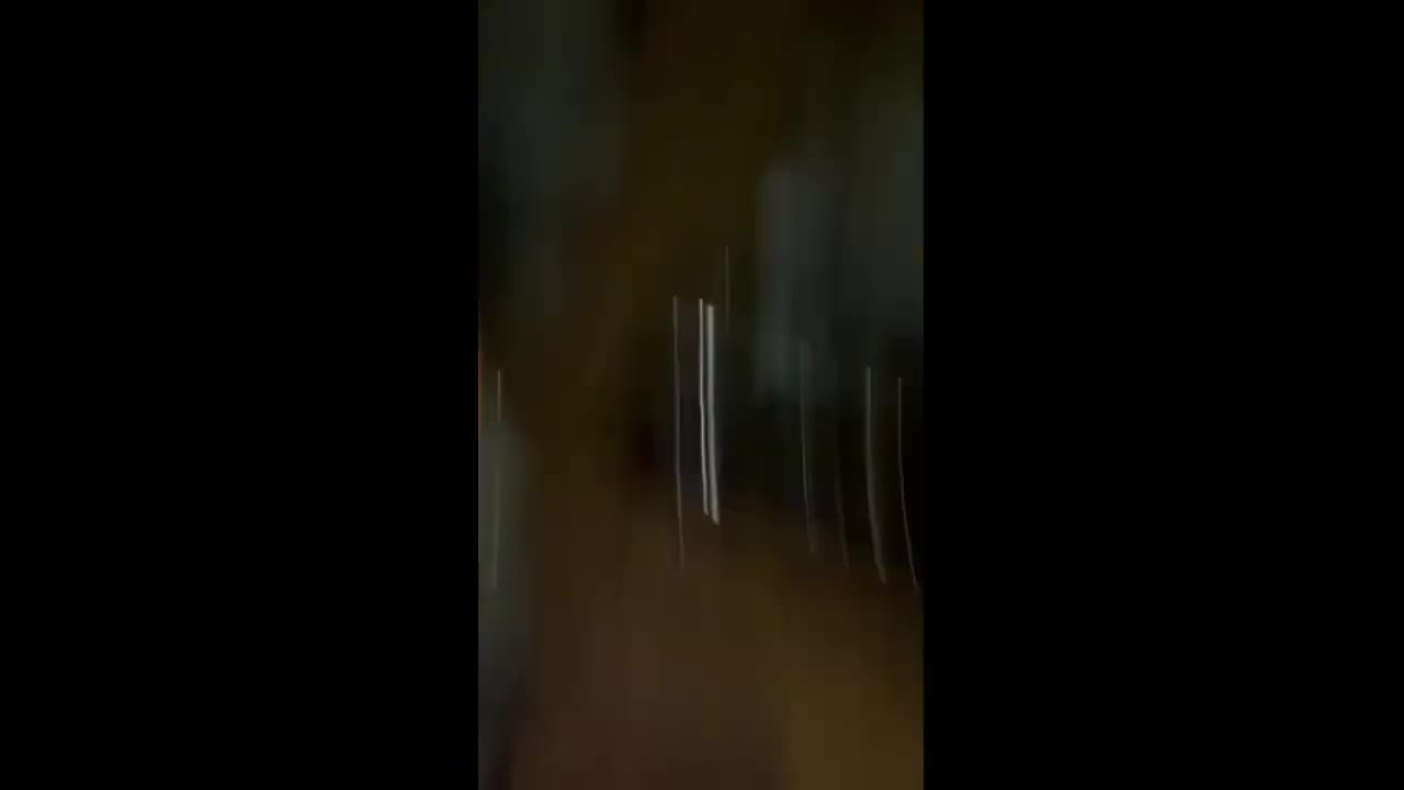 Praying mantis has had enough of this human