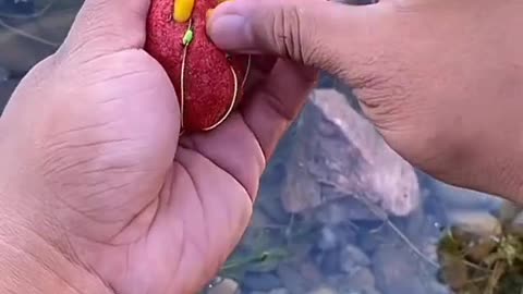 Fishing Tips&Tricks
