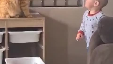 #fyp #comedy #cat #cutebaby #funny
