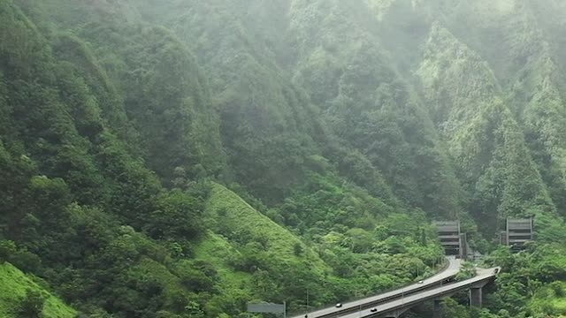 bridge view nature