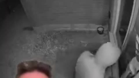 Invaders just robbing people for cars in Canada.mp4