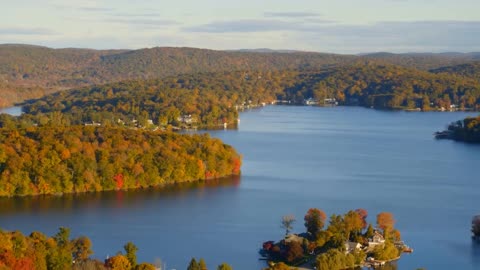 Enchanting Autumn Forests with Beautiful Piano Music