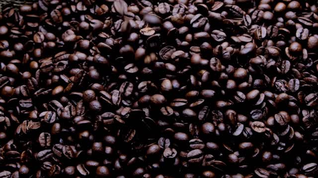 Coffee Abdilnasir