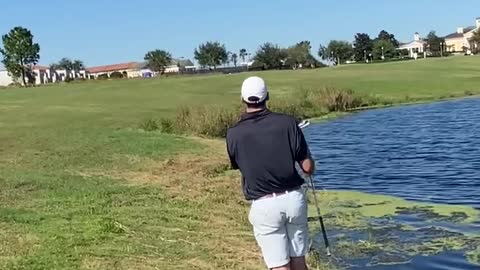 15 Foot Alligator On Golf Course