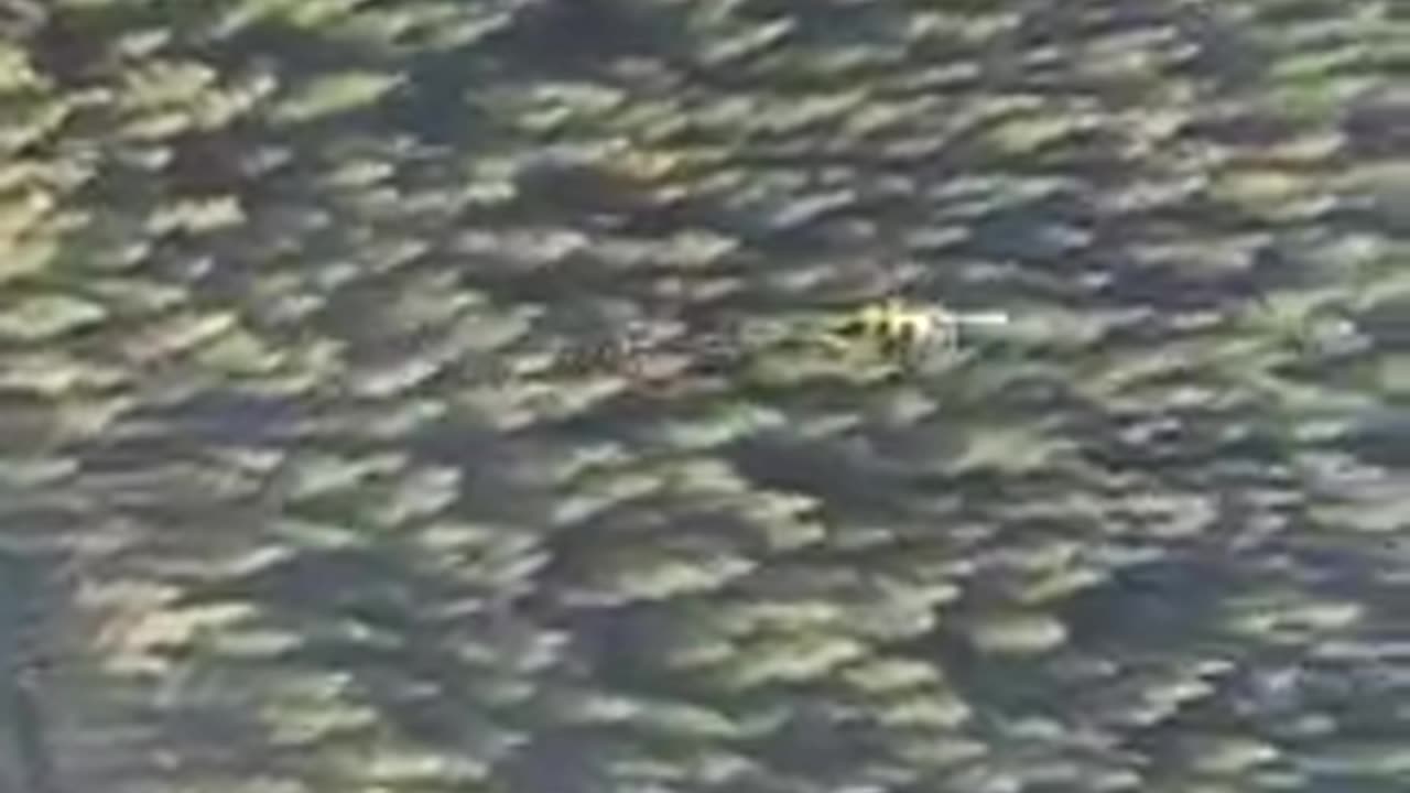 Manufacturing Wild Fires