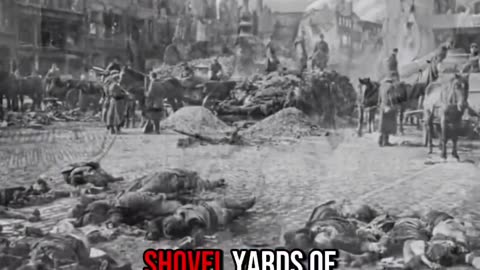 THE DRESDEN 🔥 HOLOCAUST