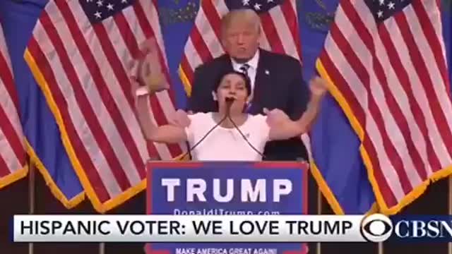 What the Fake Media won't show you.