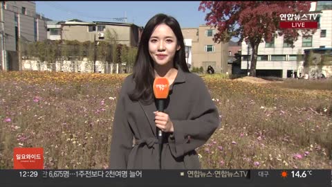 [날씨] 전국 대체로 맑고 온화…15도 큰 일교차 주의 / 연합뉴스TV (YonhapnewsTV)